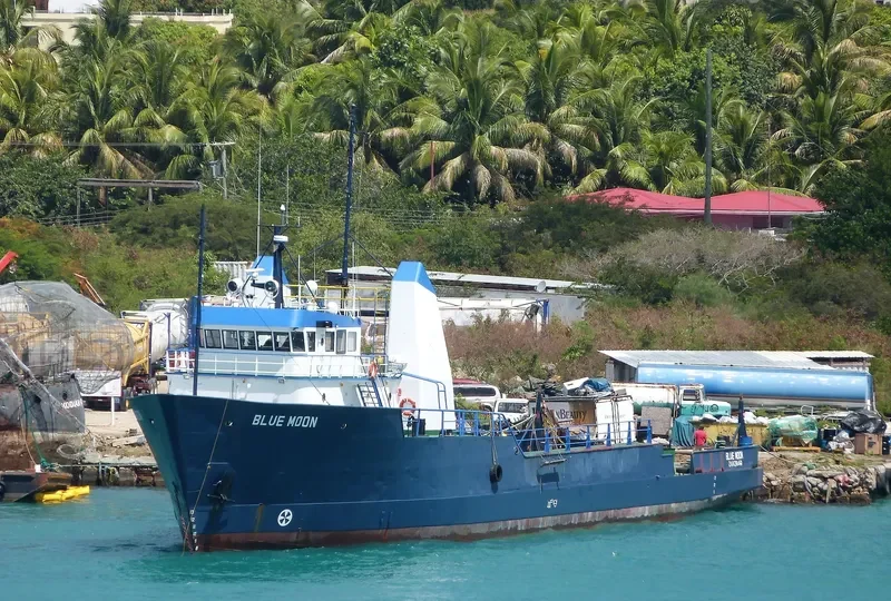 BLUE MOON Offshore Supply Vessel IMO 7713474 photo 2