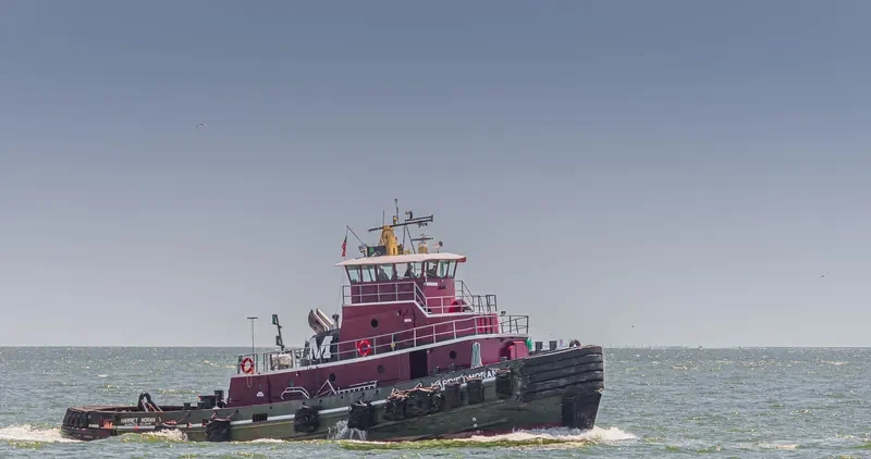HARRIET MORAN General Cargo IMO 7713498 photo 10