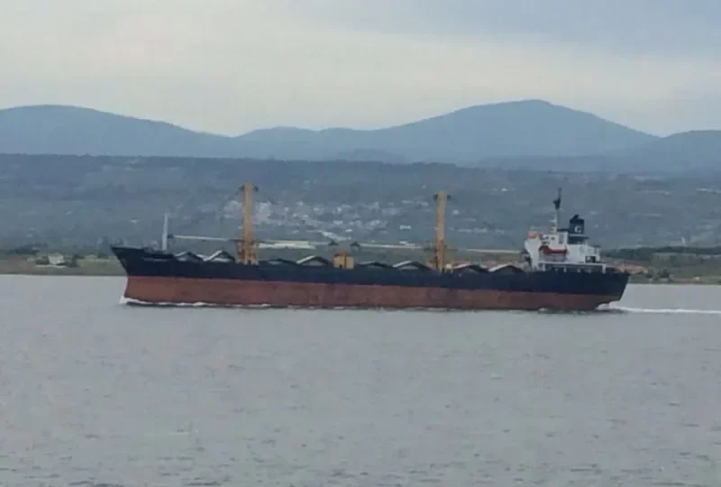 TRUSTWORTHY Bulk Carrier IMO 7713876 photo 5
