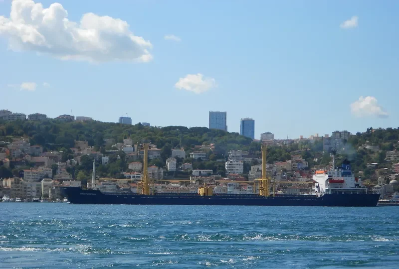 TRUSTWORTHY Bulk Carrier IMO 7713876 photo 7