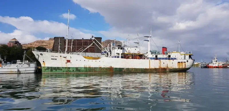 DIEGO STAR Fishing Vessel IMO 7714272 photo 2