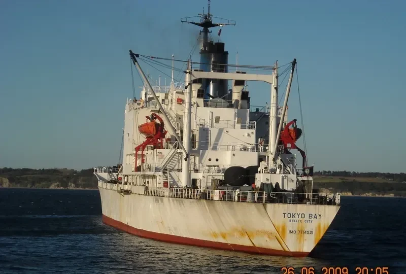 TOKYO BAY General Cargo IMO 7714521 photo 2