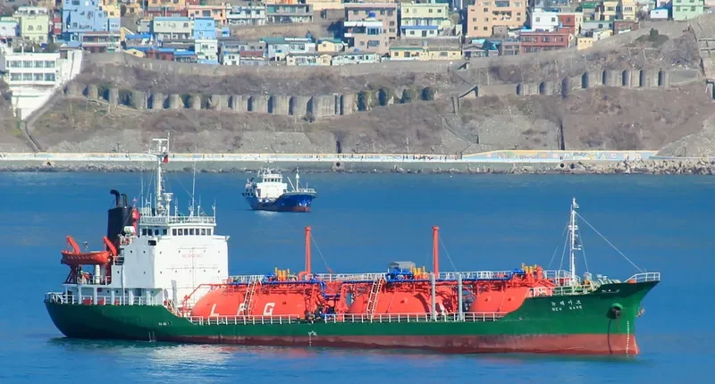 NEW WAVE General Cargo IMO 7714545 photo 2