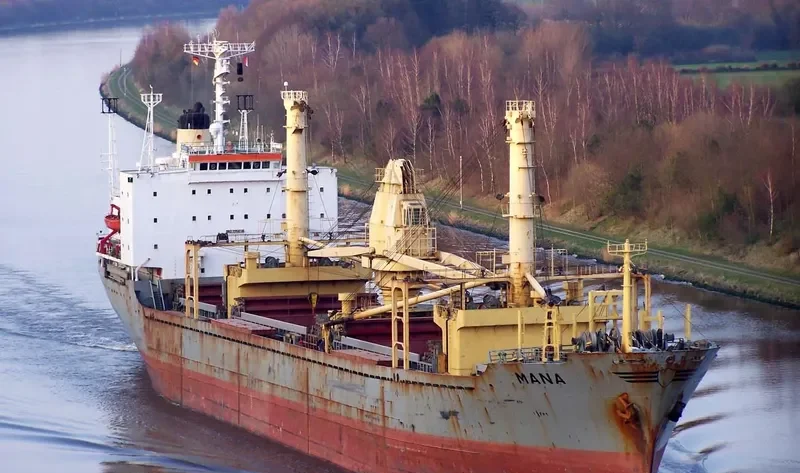 MANA General Cargo IMO 7714739 photo 8