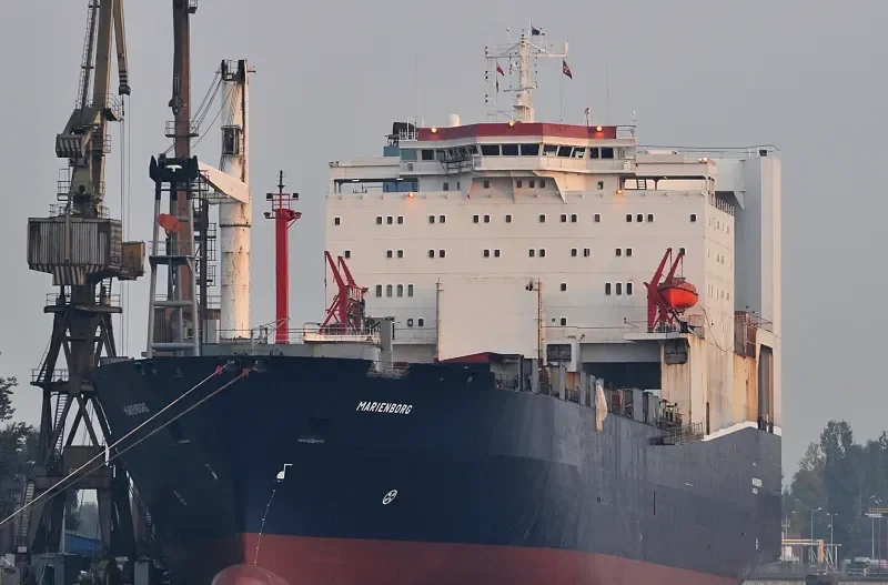 MARIENBORG Ro-Ro IMO 7716660 photo 7