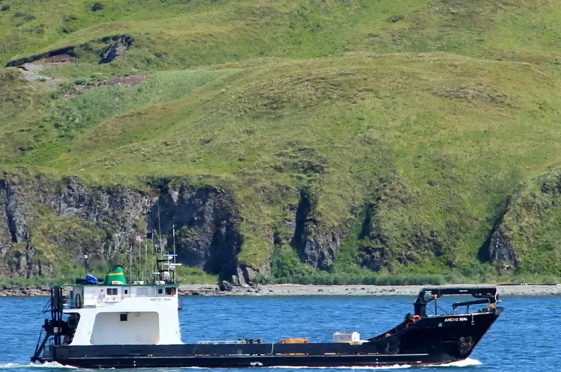 ARCTIC SEAL Research Vessel IMO 7716945
