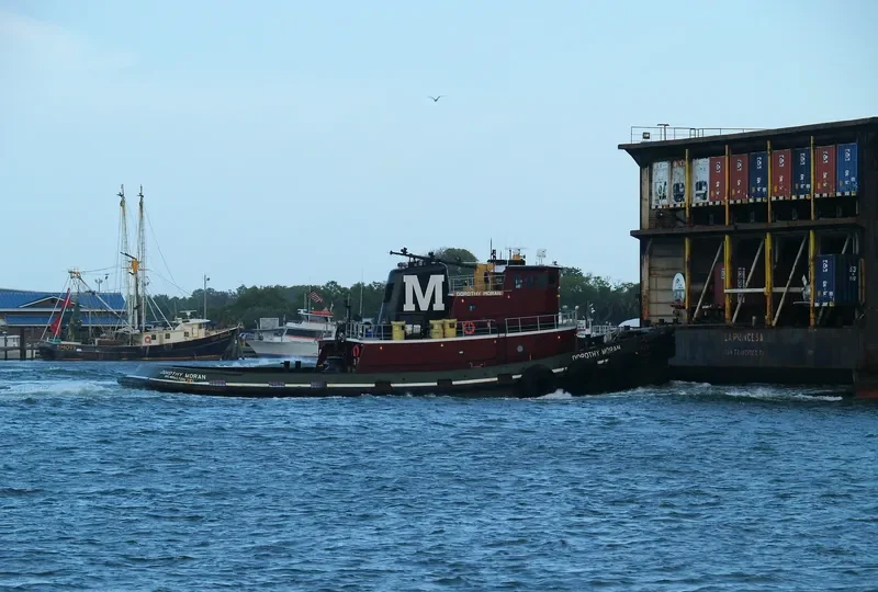 DOROTHY MORAN General Cargo IMO 7716995 photo 9