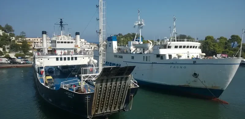 FAUNO Ro-Ro IMO 7717315 photo 5