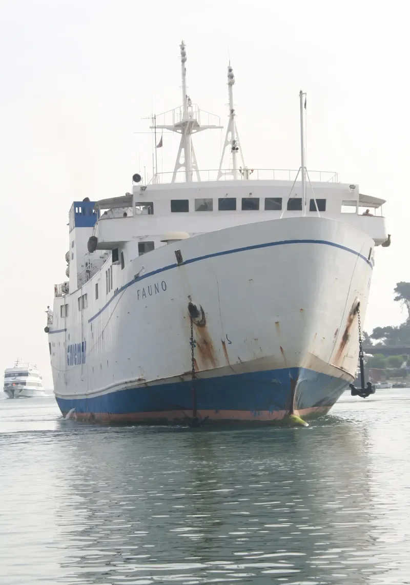 FAUNO Ro-Ro IMO 7717315 photo 8