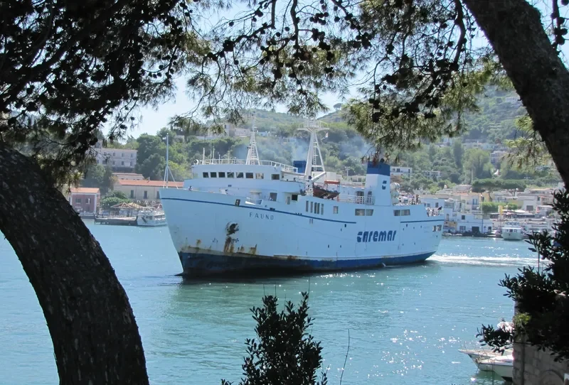 FAUNO Ro-Ro IMO 7717315 photo 10