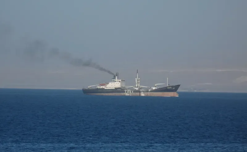 TRANS CARGO III General Cargo Vessel IMO 7717456