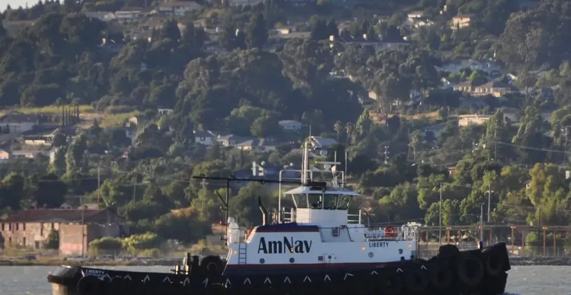 LIBERTY Tug Boat IMO 7717626 photo 10