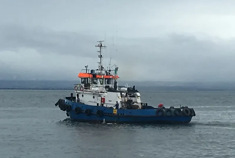 GARGAL Tug Boat IMO 7717846 photo 7