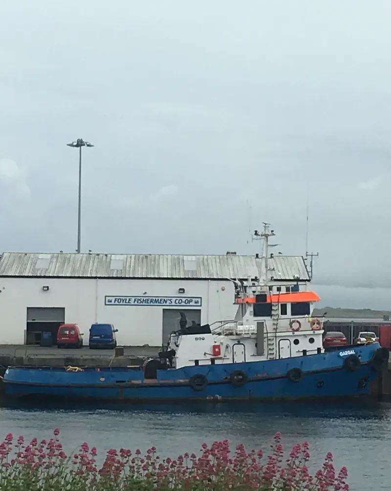 GARGAL Tug Boat IMO 7717846 photo 8