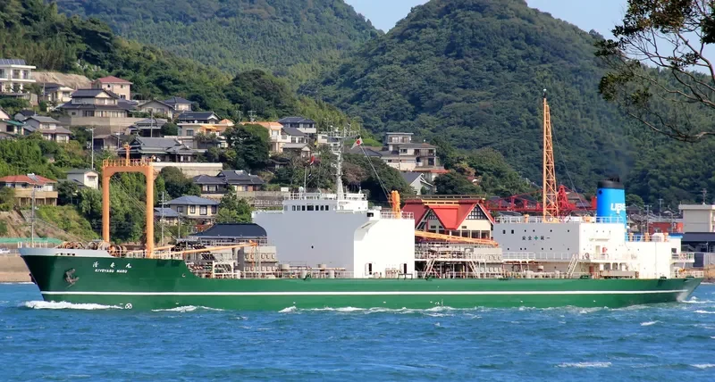 CEMENT SUCCESS General Cargo IMO 7718278 photo 10