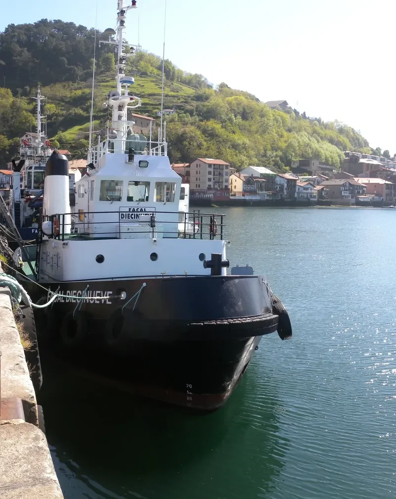 FACAL DIECINUEVE Tug Boat IMO 7719064 photo 2