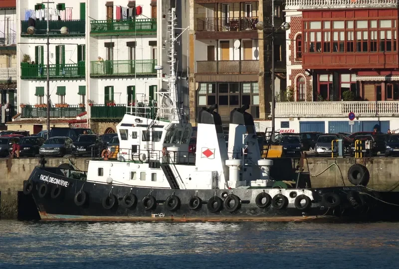 FACAL DIECINUEVE Tug Boat IMO 7719064 photo 3