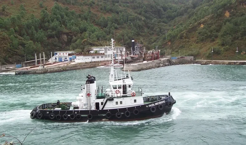 FACAL DIECINUEVE Tug Boat IMO 7719064 photo 6