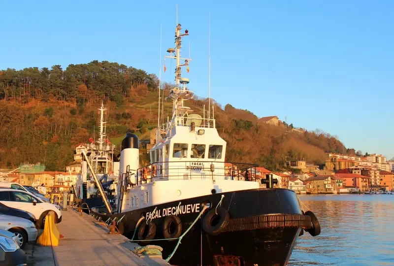 FACAL DIECINUEVE Tug Boat IMO 7719064 photo 7