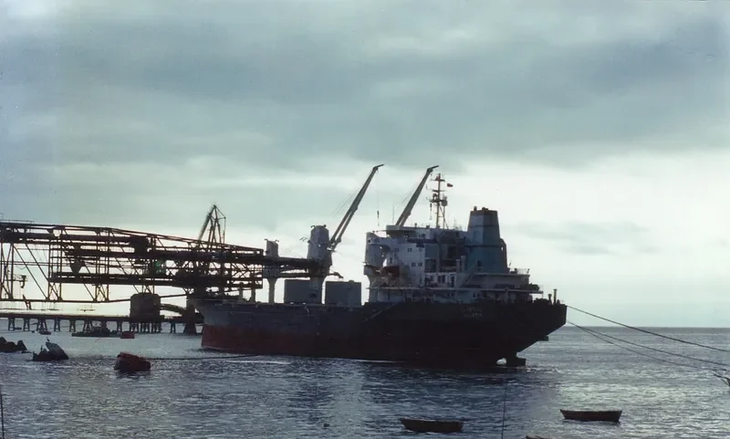 GOLDEN BRIDGE General Cargo IMO 7719222 photo 2