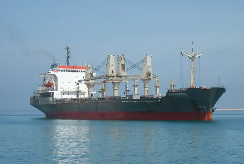 GOLDEN BRIDGE General Cargo IMO 7719222 photo 4