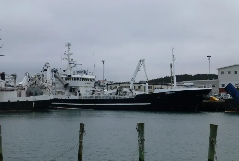 ASSAADI General Cargo IMO 7719923 photo 3