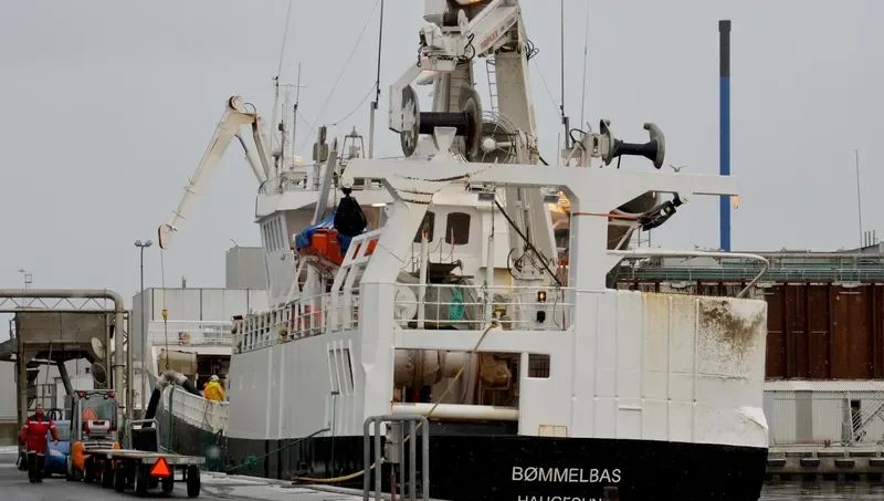 ASSAADI General Cargo IMO 7719923 photo 4