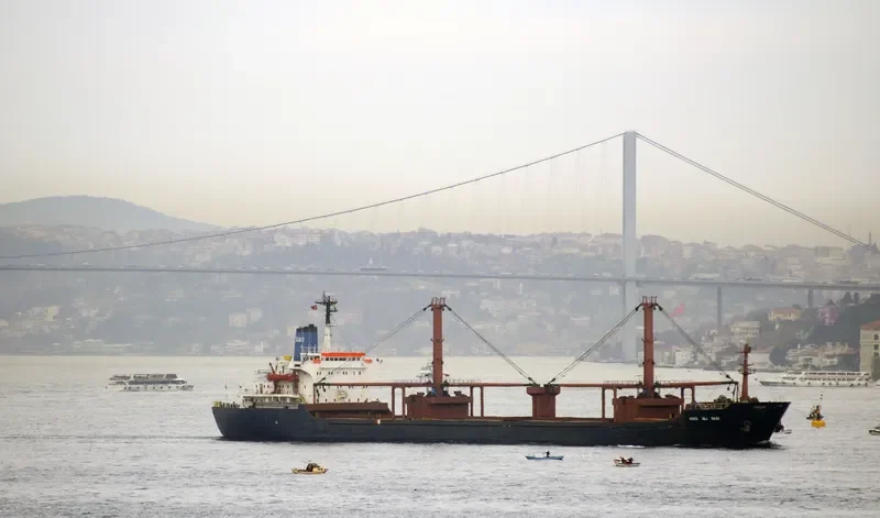 HACI ALI SARI Bulk Carrier IMO 7720738 photo 4