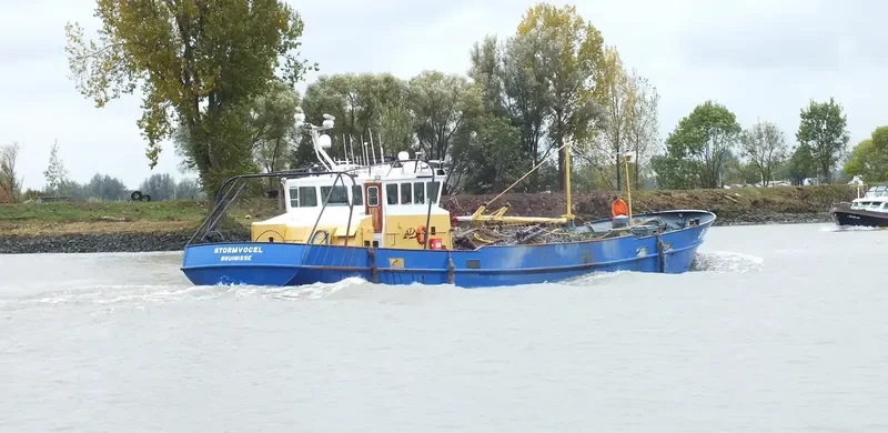 STORMVOGEL Fishing Vessel IMO 7721031