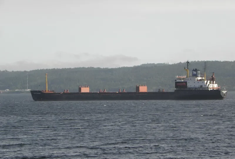 DMITRIY POZHARSKIY Bulk Carrier IMO 7721201