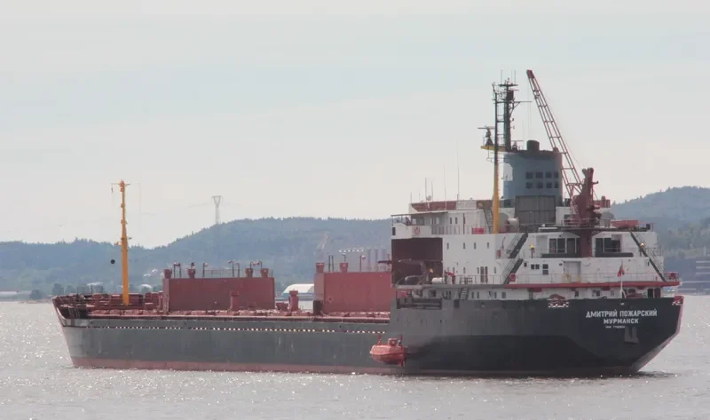 DMITRIY POZHARSKIY Bulk Carrier IMO 7721201 photo 3