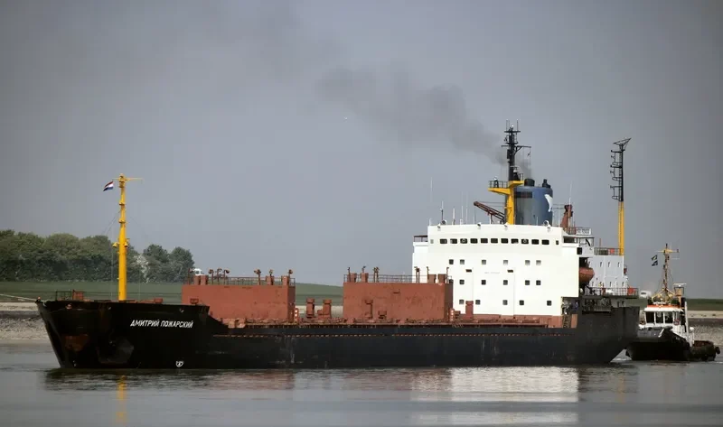 DMITRIY POZHARSKIY Bulk Carrier IMO 7721201 photo 5