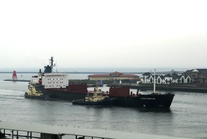 DMITRIY POZHARSKIY Bulk Carrier IMO 7721201 photo 6