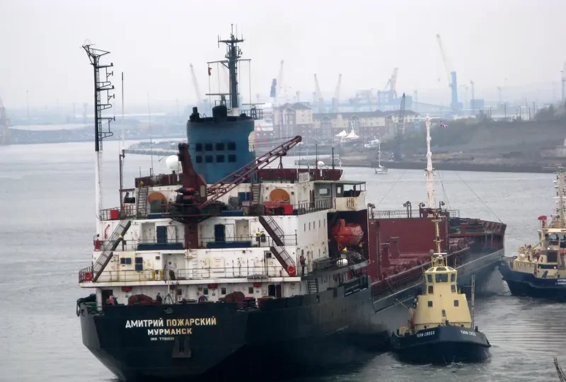DMITRIY POZHARSKIY Bulk Carrier IMO 7721201 photo 7