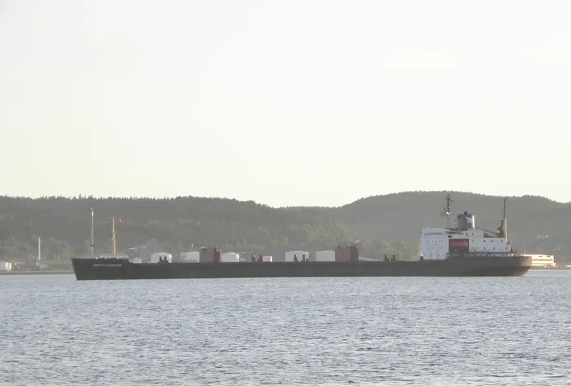 DMITRIY POZHARSKIY Bulk Carrier IMO 7721201 photo 9