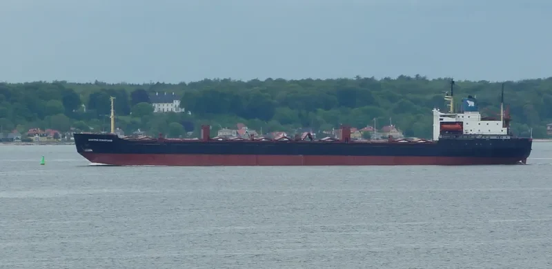 DMITRIY POZHARSKIY Bulk Carrier IMO 7721201 photo 10