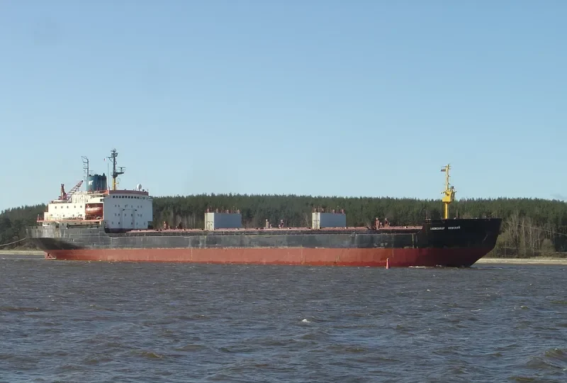 FOURTH Bulk Carrier IMO 7721213 photo 2