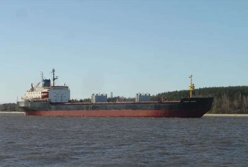 FOURTH Bulk Carrier IMO 7721213 photo 3