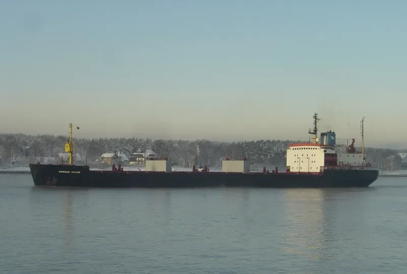 FOURTH Bulk Carrier IMO 7721213 photo 5