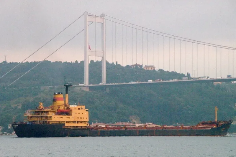 PRIANKA Bulk Carrier IMO 7721316 photo 3