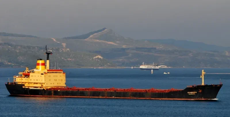 PRIANKA Bulk Carrier IMO 7721316 photo 9