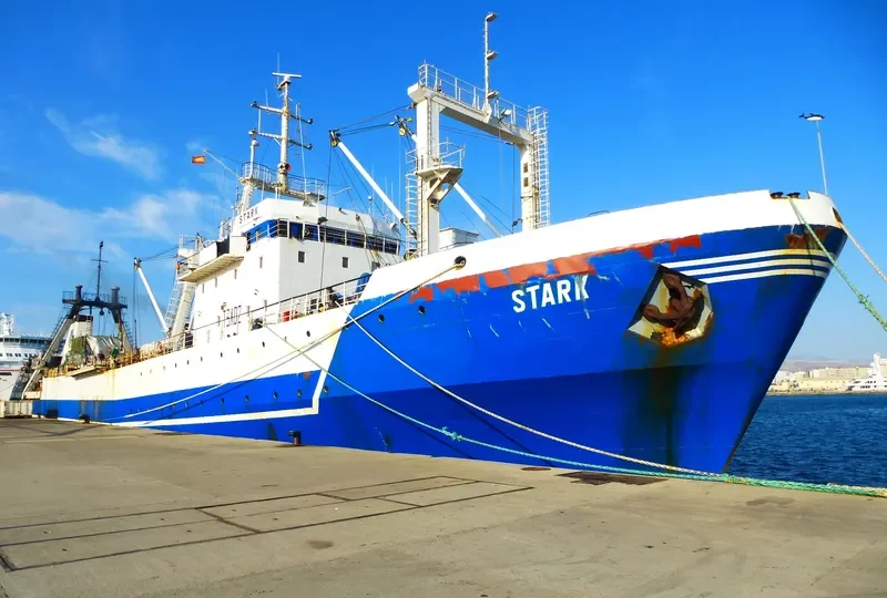 ATLANTIC STORM General Cargo IMO 7721603 photo 4