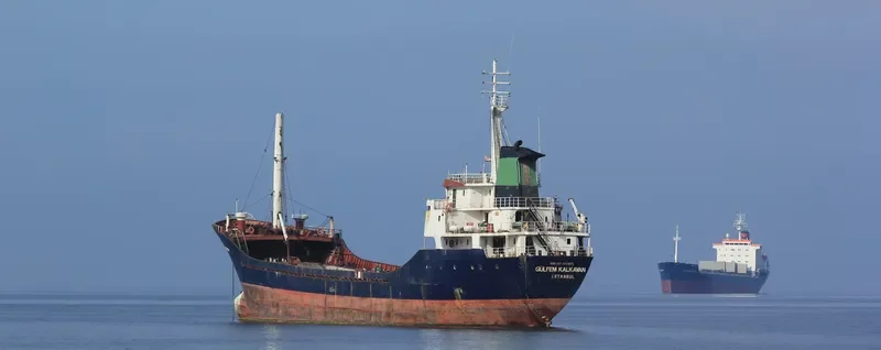 GULFEM KALKAVAN General Cargo IMO 7721873