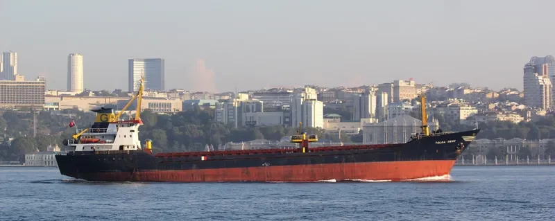 RAHAF MOON General Cargo IMO 7721885 photo 6