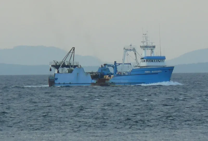 FIERCE ALLEGIANCE General Cargo IMO 7722011 photo 2