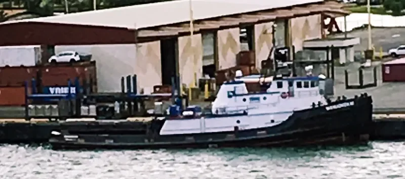 MANUOKEKAI General Cargo IMO 7722061 photo 2