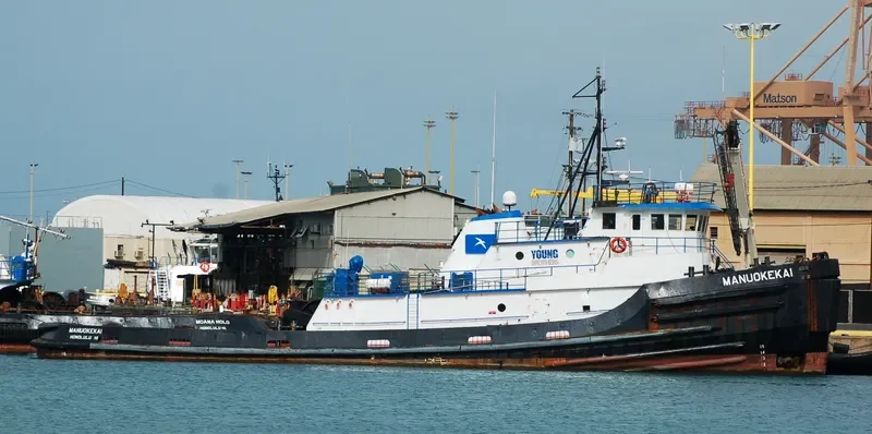 MANUOKEKAI General Cargo IMO 7722061 photo 3