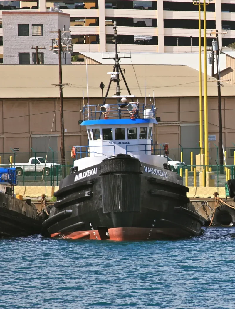 MANUOKEKAI General Cargo IMO 7722061 photo 4