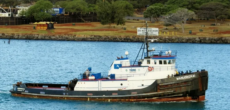 MANUOKEKAI General Cargo IMO 7722061 photo 7