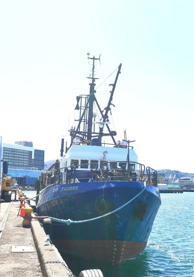 TAUDRE Fishing Vessel IMO 7722528 photo 8